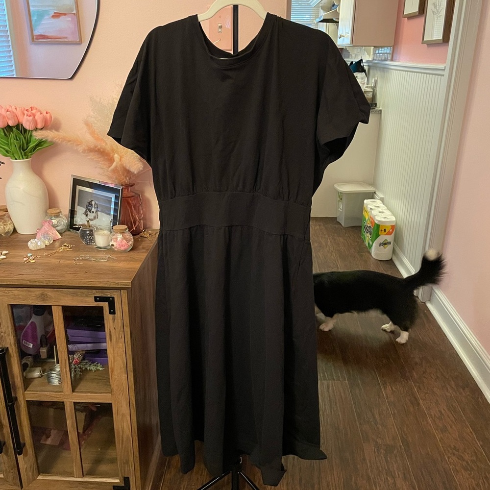 Everlane Black Flutter Sleeve Midi Dress